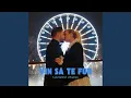 Download Lagu Vin Sa Te Fur