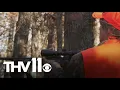 Modern gun deer hunting season begins in Arkansas Outdoor Report