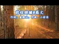 羅文經典名曲（1）（内附歌詞）01前程錦繡；02 好歌獻給你；03 獅子山下