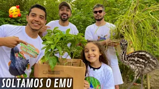 Cuidando das aves e plantando com @GUTEJANDOO @DiacomLara e Murilo Couto | aves Recriar