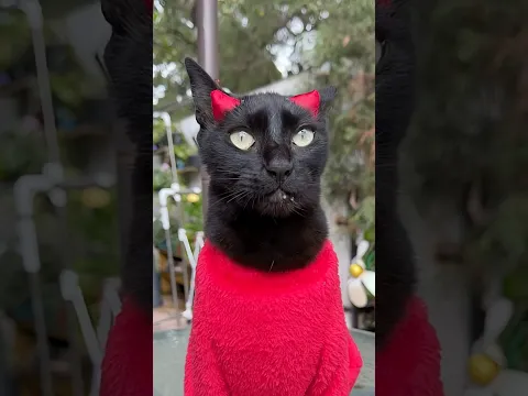 Juanita es una diablita 😈