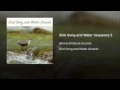 Bird Song and Water Sequence 5