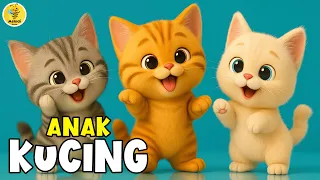 lagu anak anak anak kucing meong meong lagu anak u0026 balita terbaru viral terbaik