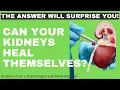 Can Your Kidneys Heal Themselves The Answer Will Surprise You
