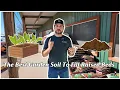 The Best Garden Soil To Fill Raised Beds