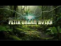Lagu NEW DJ SLOW BASS || PETIR DALAM HUTAN || SRIGANOSFAMILIA - By : SHY - X OFFICIAL