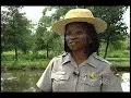 HGTV The Secret Gardens of Washington DC