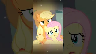 Fluttershy Didn t Deserve This