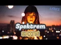 Download Lagu Spektrem - Shine [Lyrics] HQ