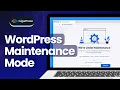 The BEST WordPress Maintenance Mode Plugins SeedProd vs LightStart