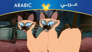 النبيلة والشارد إحنا قطتين بسبوستين مصري 