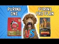 Purina ONE vs Purina Pro Plan What s the Difference
