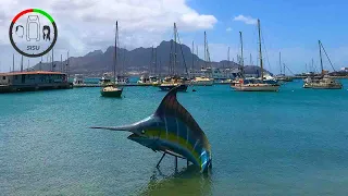#44m Sisu in Mindelo, Cape Verde | Sailing Sisu Leopard 45 Catamaran World Circumnavigating Atlantic