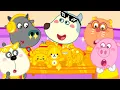 Download Lagu Wolfoo Family Bankrupt, Surprise Birthday❤️Fun English Cartoon for Kids | Educational 2D Animation