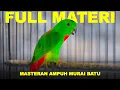 Download Lagu Burung Serindit Full Nembak Kristal Materi Top #serindit #birds #masteranburung #pancinganmuraibatu