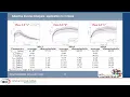 Bending and Direct Tension Testing Key Aspects and Critical Issues Behind Inverse Analysis