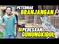 Download Lagu PETERNAK BRANJANGAN‼️Berawal dari SATU PASANG kini PULUHAN...