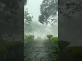 Download Lagu RHTDM-Rain Theme status #shorts #statusvideo #shortsfeed #shortsvideo