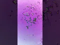 Download Lagu Zamzam Water under the microscope looks AMAZING!