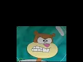 Download Lagu Pre-Hibernation Week SpongeBob Episode but Only When Pantera’s Music is Playing