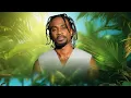 Download Lagu Sweet Raggae The Best Of J boog_Chris Martin_Ce'cile_Sean Paul_Mixed By Dj SCUZY 255
