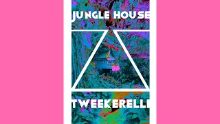 Download Tweekerelli - Jungle House - Electro House Single (Unreleased 2020) MP3