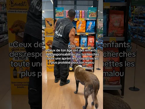 Je connais pas du tout cette marque n’attraper pas ma veste svp #humour #malinois #proteine
