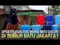 Lagu SIDAK ! TEMPAT KUALITAS MURAI BATU GACOR MURAH DI SUMUR BATU JAKARTA TERNYATA LUMAYAN MURAH 