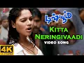 Kitta Neringivaadi 4K Video Song | Dishyum Movie Songs | Jiiva | Sandhya | Vijay Antony