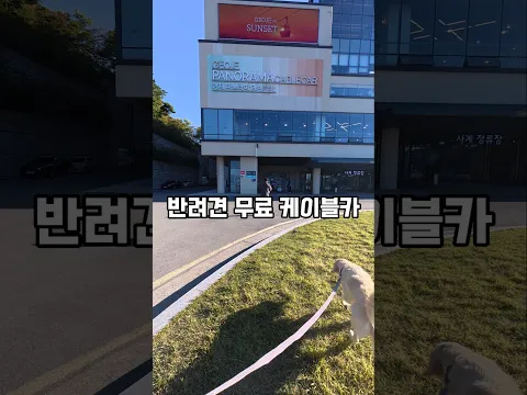 빠듯한 일정에 처음타는 캐이블카 #남해 #강아지 #반려견 #몽실이 #뽀끄미 #리트리버 #입양 #시고르자브종 #임보 #경상도사투리