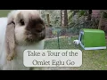 Our New Rabbit Hutch Omlet Eglu Go Review How to Clean It