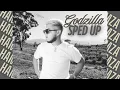 Hamza - Godzilla | Sped-up & Reverb Version