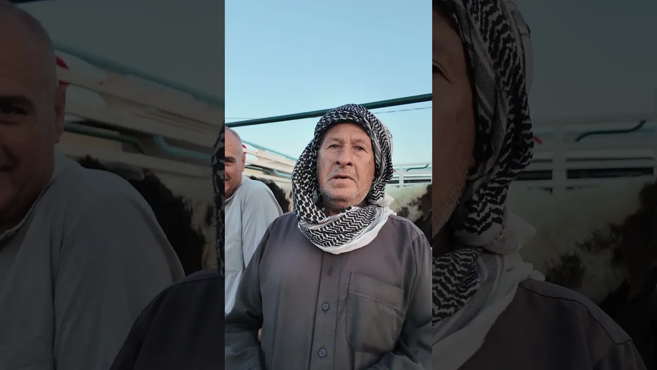 چان ليل و صار نهار شنهو؟