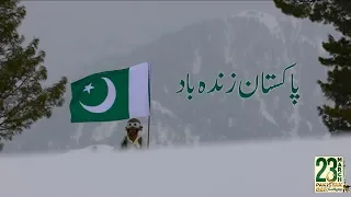                                                                                            دندنها