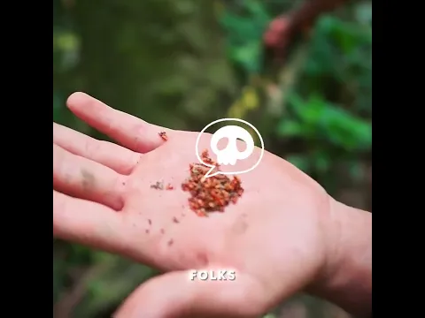 😂😂😂 “I almost got poisoned by a venomous creature.”
