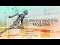Human Information Processing
