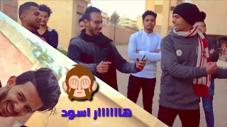 مافيا وش مفيش معلش     البسو الهاند فري دندنها