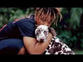 Download Lagu Juice WRLD | Haunted Heart (Unreleased)