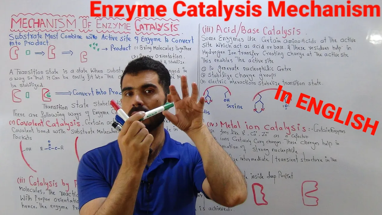 Mechanism of Enzyme Catalysis Four Main Mechanism of Enzyme catalysis Detailed Discussion In ENGLISH