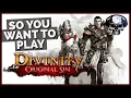 So You Want To Play Divinity Original Sin New Player s Guide