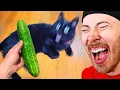 Cat vs Cucumbers