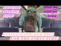 What it s like flying with your dog South West dog experience