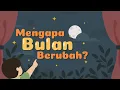 Lagu Mengenal Fase Bulan | Mengapa Bulan Berubah? | Video Belajar Anak | Video Edukasi