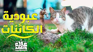 عبودية الكائنات درس خاص بحبه قوي م علاء حامد 