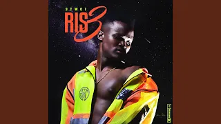 ris3 feat pjay b3nchmarq 