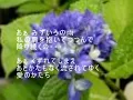 水色の雨　八神純子　歌詞つき