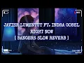 Lagu JAVIER LUMENTUT FT. INDRA GOBEL - RIGHT NOW (BANGERS SLOW REVERB) [INSOMNIA REVOLUTION]