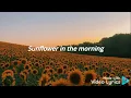Sunflower (ft. Steve Lacy) - Vampire Weekend | Lyrics/Letra 🌻💛