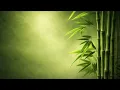 BAMBOO Serenity Zen Forest Minimalism Ethereal Greenery - No Music