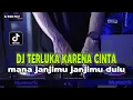 Download Lagu DJ TERLUKA KARENA CINTA REMIX MANA JANJIMU JANJIMU DULU AKAN SETIA PADAKU VIRAL TIKTOK TERBARU 2023